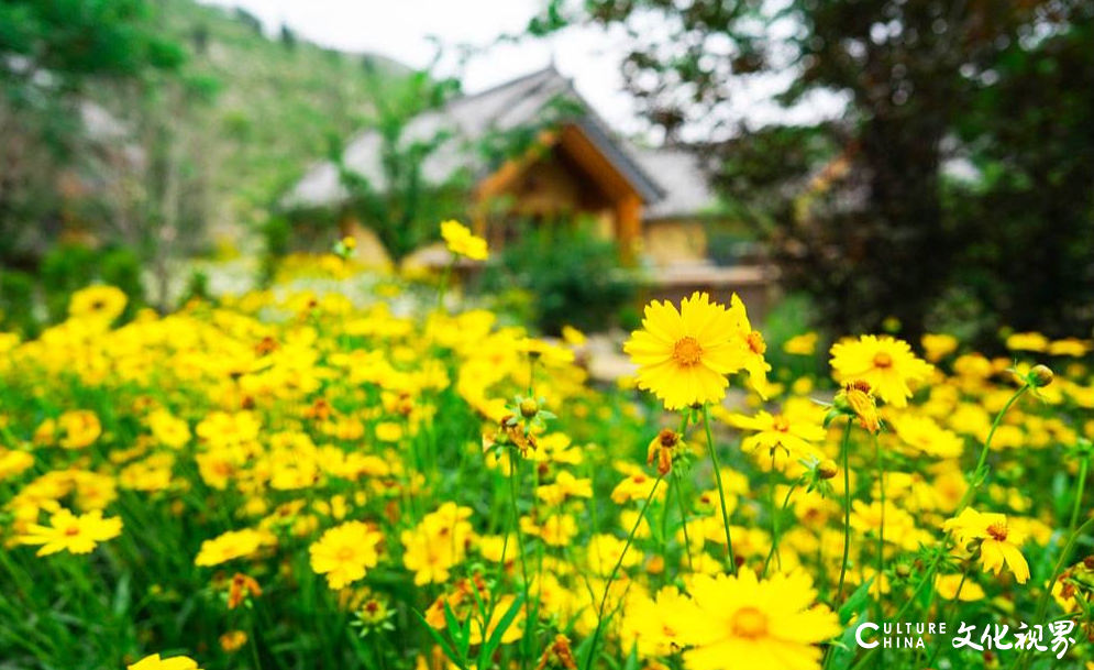 5月19日来尼山圣境，和明星大咖一起打卡美食美景美宿，共享一场精彩纷呈的视听饕餮盛宴