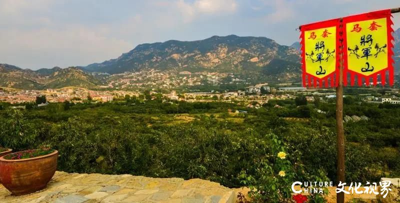 今天是“5.19中国旅游日”   济南灵岩寺等23家旅游景区推出免票、半价等优惠