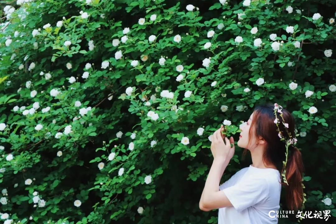 纯净山水  浪漫九如——济南九如山风景区“给妈妈送祝福  点赞尊享惊喜”活动获网友积极支持参与