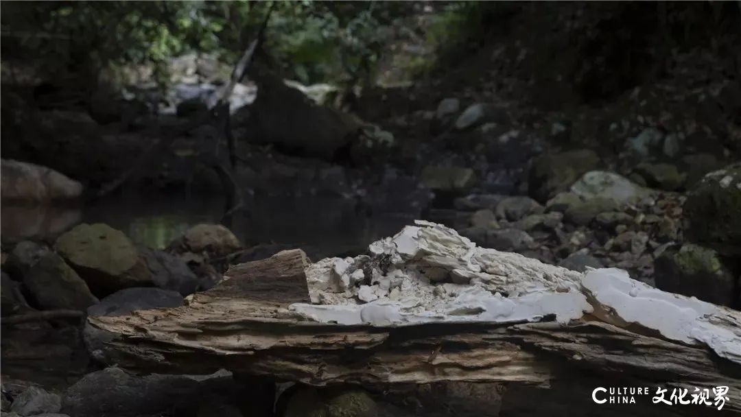 中央美术学院雕塑专业毕业展遭遇云呈现，线上毕业展或将改写未来艺术生态