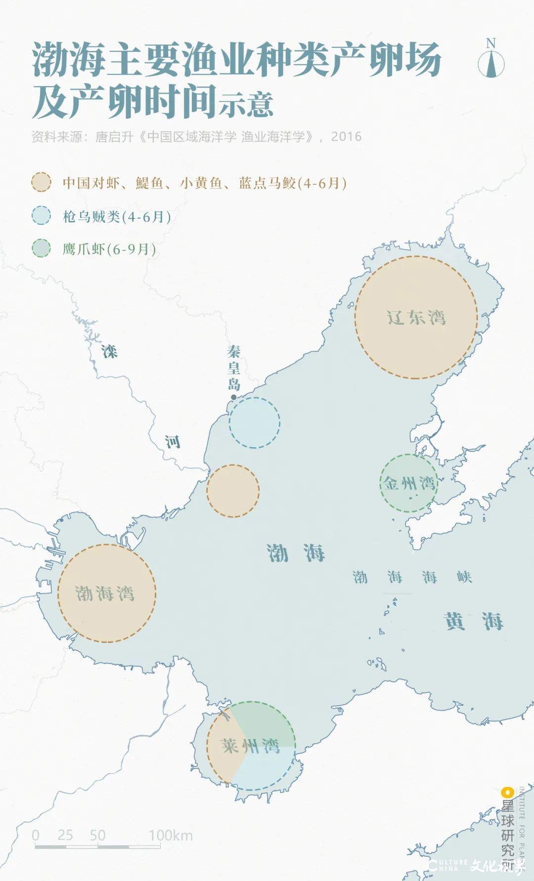 被忽视已久的渤海，究竟有多美？