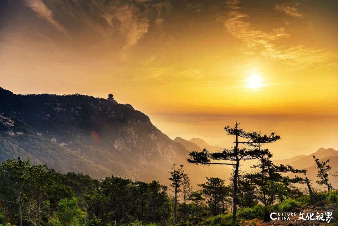 天然氧吧  超然洁净——六月的天蒙景区，赴一场云海之约