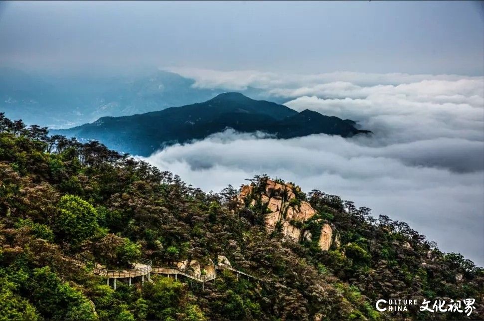 天然氧吧  超然洁净——六月的天蒙景区，赴一场云海之约