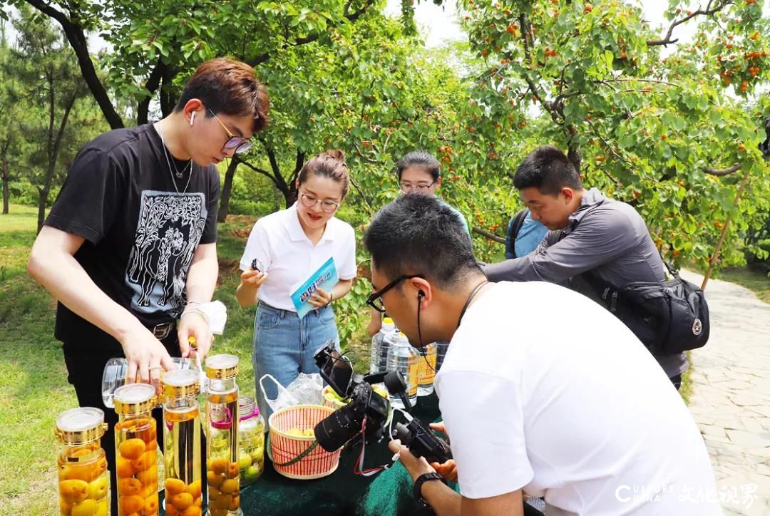 游酒地 摘甜杏 品老酒 抢好礼——齐鲁酒地网红小镇、美酒不夜城等你来嗨！