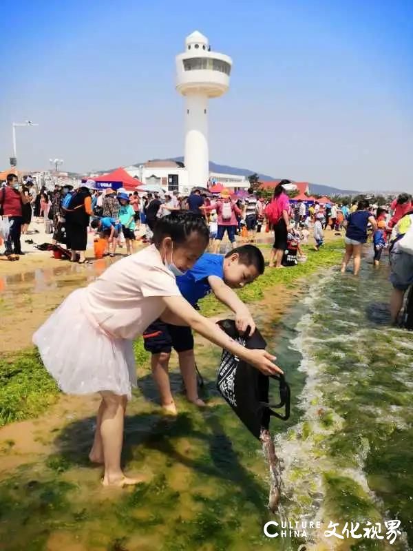 山东银座旅游集团80余家沿海酒店联合开展 “世界海洋日”净滩公益活动