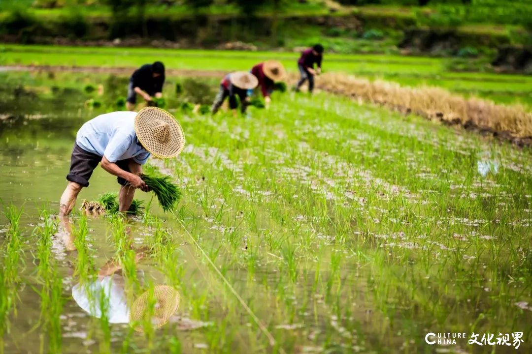 带孩子去这5个地方走一走，长大后想没出息都难