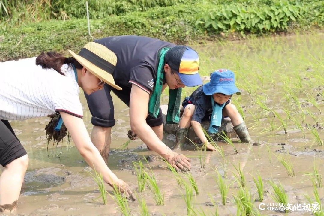 带孩子去这5个地方走一走，长大后想没出息都难