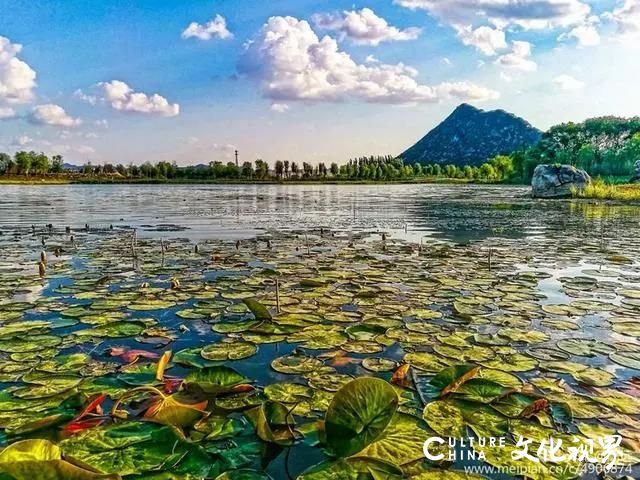 泉城新名片，济南第四大名胜—华不注，我敢打赌你会读错