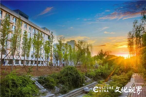 山东工程职业技术大学2020年招生简章，事关每位考生，请速看