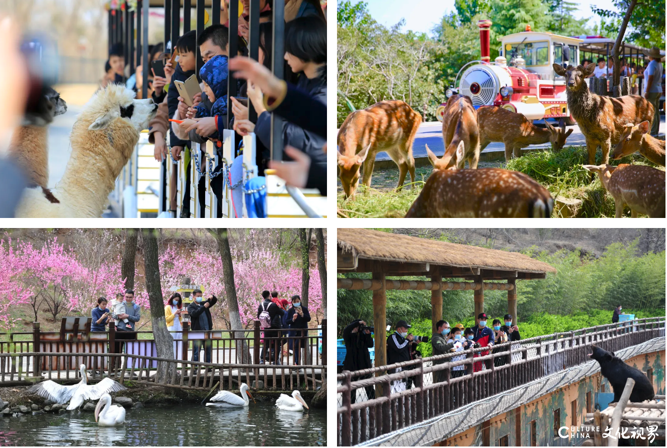 建设大平台，发展大文旅，形成大产业——济南文旅三周年，大文旅生态集群开启新征程