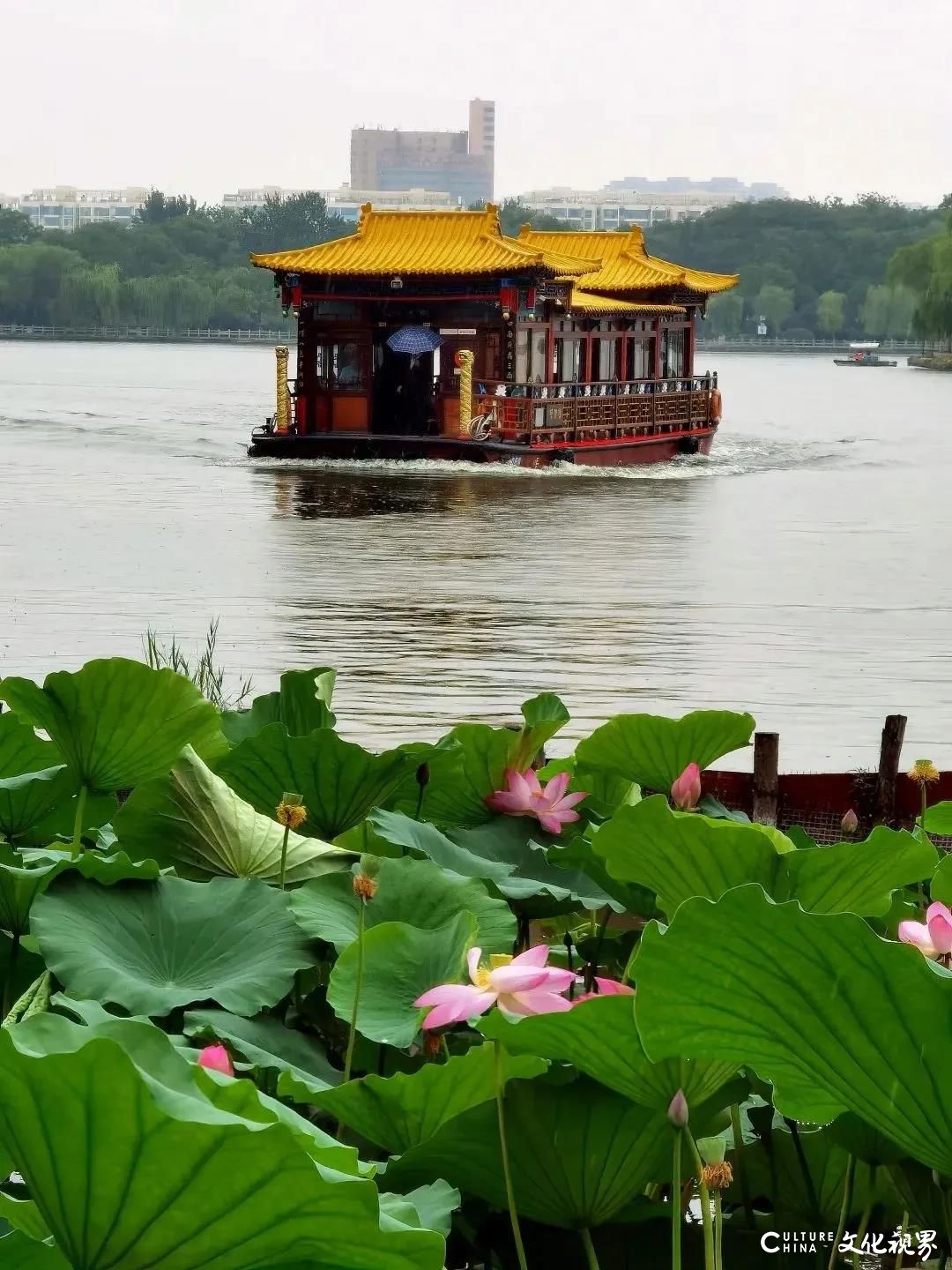 大明湖  九如山  百花洲——雨后的济南如诗如画，披上一层神奇虚幻的面纱