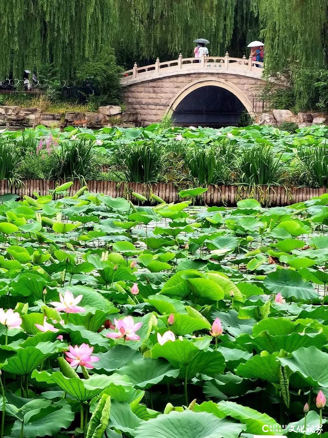 大明湖  九如山  百花洲——雨后的济南如诗如画，披上一层神奇虚幻的面纱