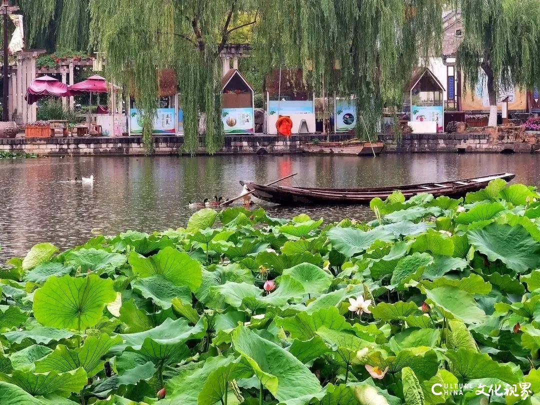 大明湖  九如山  百花洲——雨后的济南如诗如画，披上一层神奇虚幻的面纱