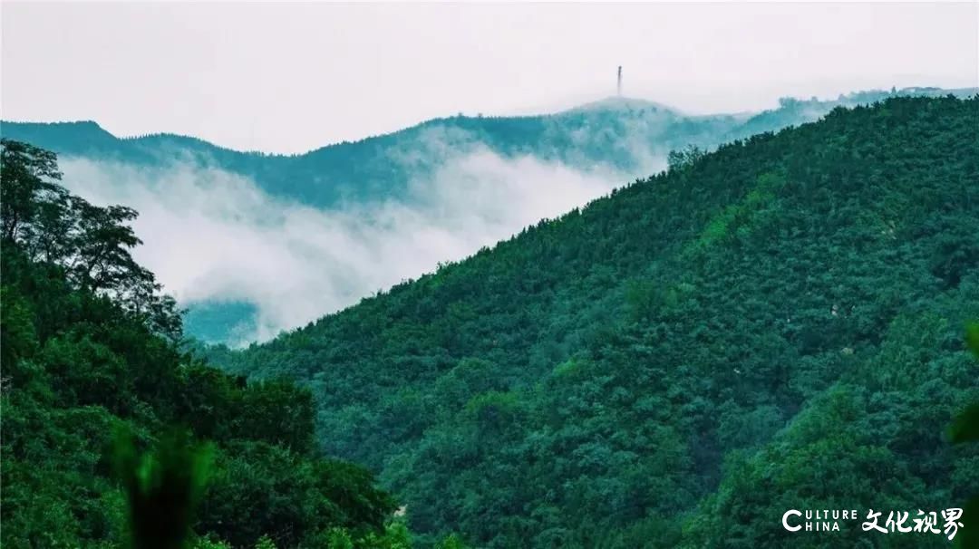 大明湖  九如山  百花洲——雨后的济南如诗如画，披上一层神奇虚幻的面纱