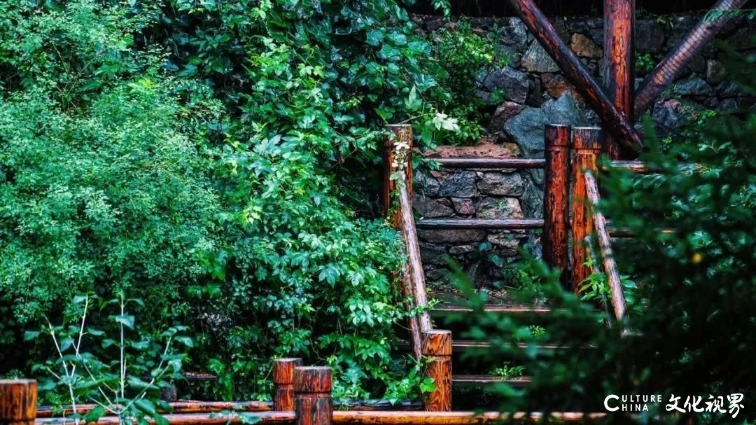 大明湖  九如山  百花洲——雨后的济南如诗如画，披上一层神奇虚幻的面纱