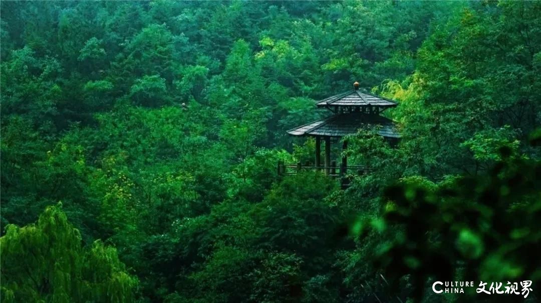 大明湖  九如山  百花洲——雨后的济南如诗如画，披上一层神奇虚幻的面纱