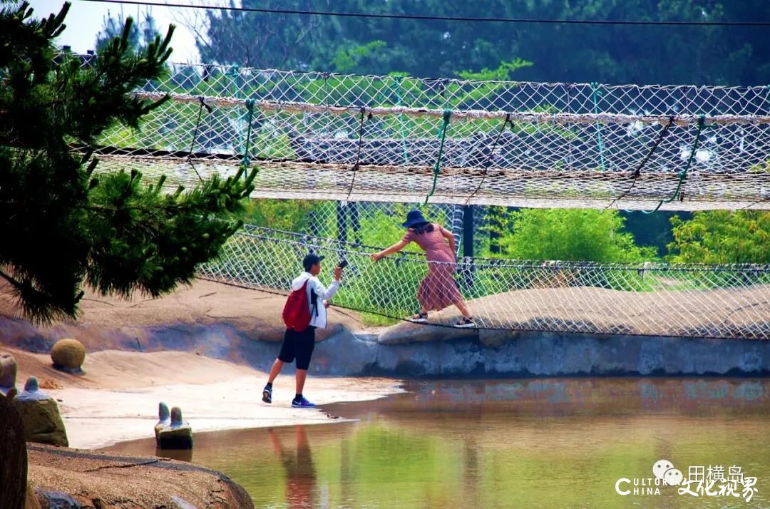 夏凉如春 天海一碧——青岛田横岛，夏日度假首选