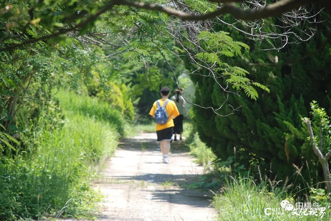 夏凉如春 天海一碧——青岛田横岛，夏日度假首选