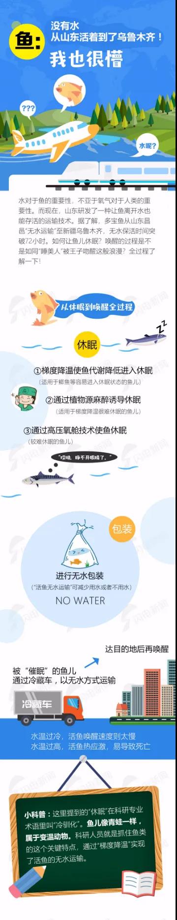 没有水也能将活鱼运达目的地？山东研发活鱼无水运输，鱼：让我睡死过去吧......