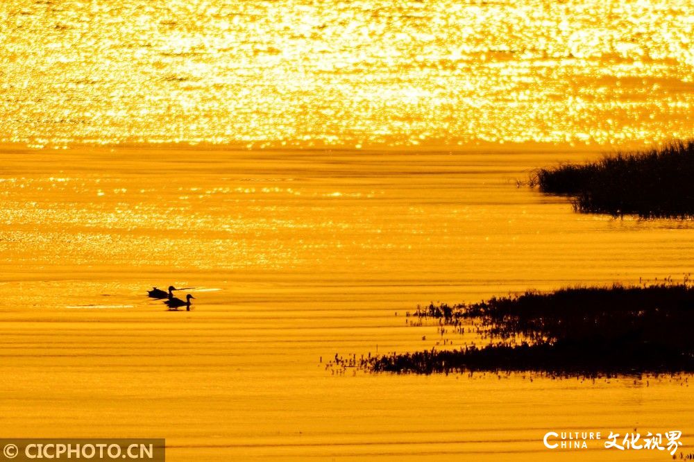 晨光与海面交织，摄影师手中一幅幅美丽的青岛胶州湾