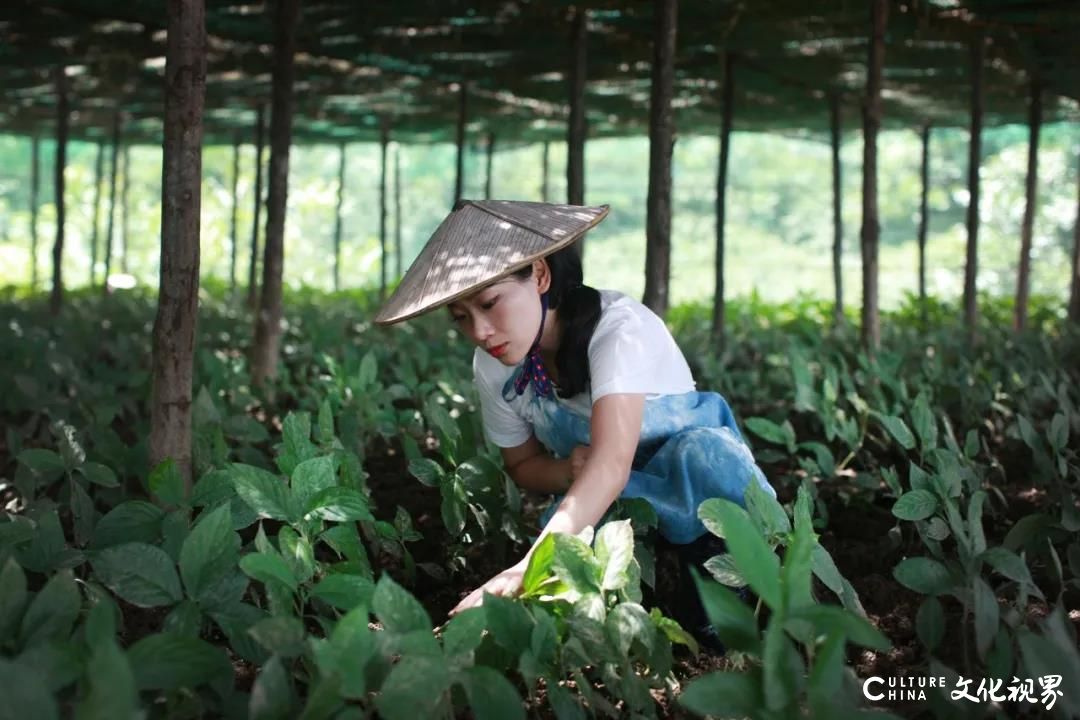 美女硕士林芳璐把白族扎染与家居设计相结合，被低估的绝技在欧洲涨价千倍