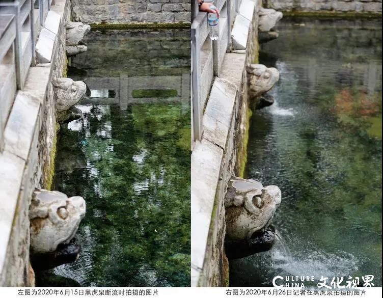 一场大雨润泉城，济南黑虎泉东侧俩虎头恢复喷水