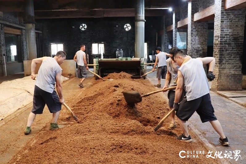 达人主播、旅游大V、全国酒友代表带你“云游”景芝：打卡齐鲁酒地网红小镇、美酒不夜城……