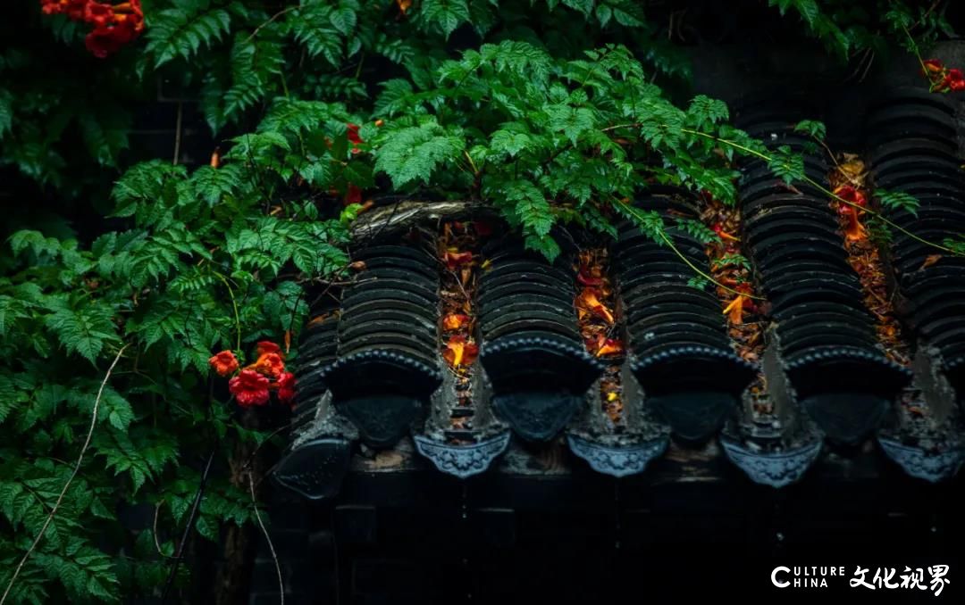 嘉华旅游|台儿庄这座烟雨朦朦的古城，好似一幅神韵流转的水墨画