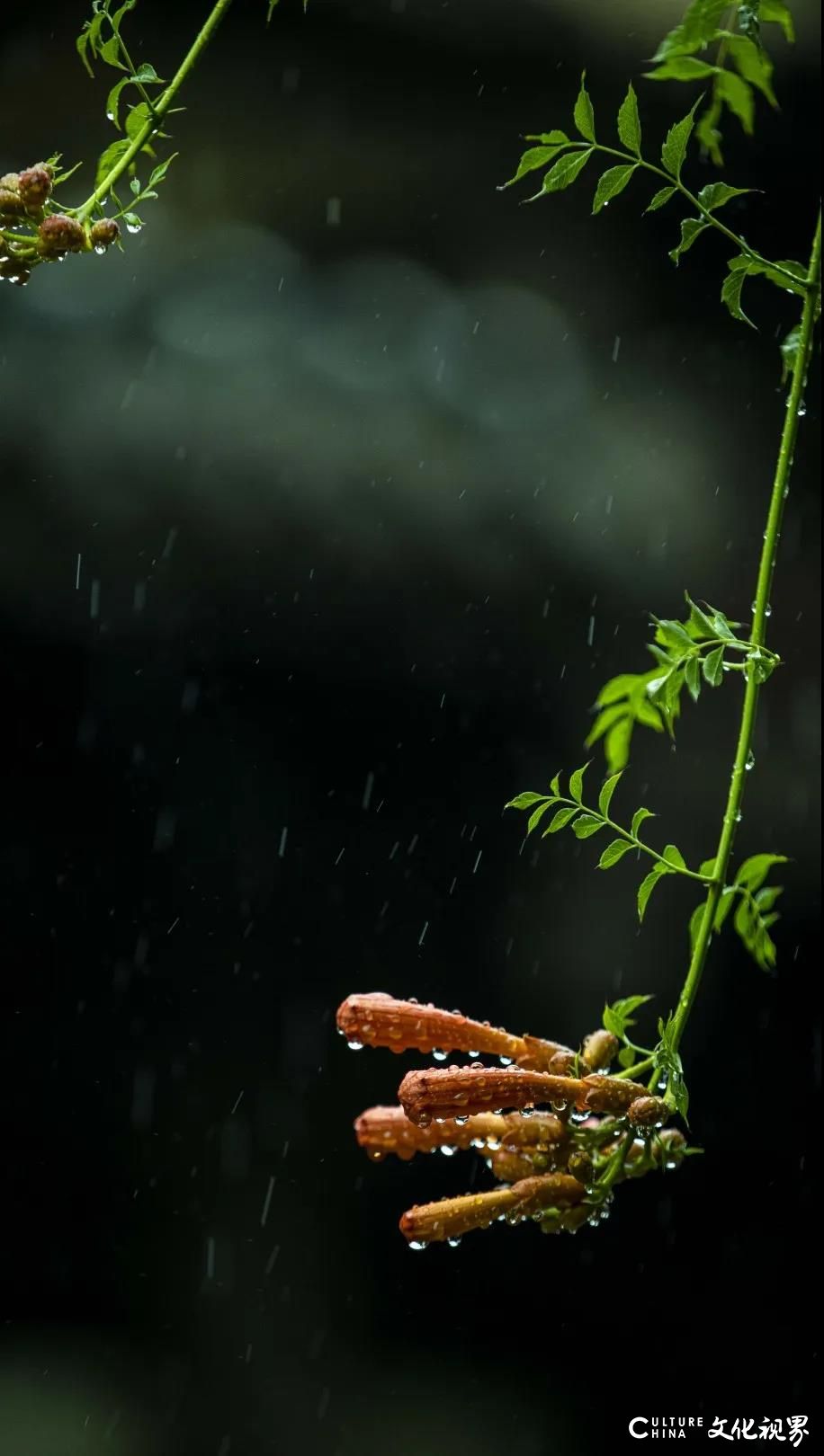 嘉华旅游|台儿庄这座烟雨朦朦的古城，好似一幅神韵流转的水墨画