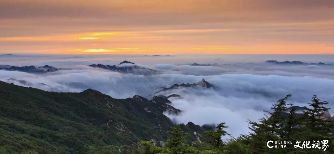 美过梵净山   藏身云海间——山东10处绝美的“天空之城”流光溢彩  魅影重重