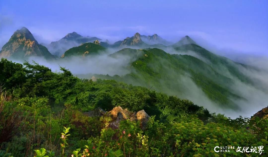 美过梵净山   藏身云海间——山东10处绝美的“天空之城”流光溢彩  魅影重重