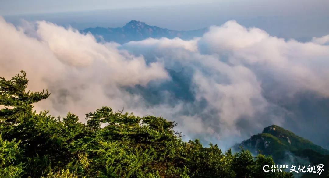 美过梵净山   藏身云海间——山东10处绝美的“天空之城”流光溢彩  魅影重重