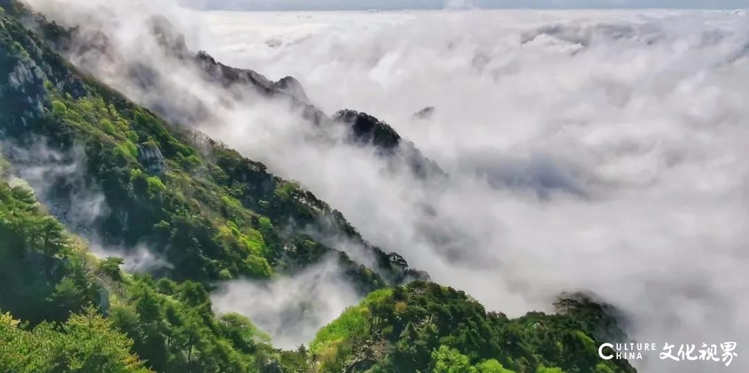 美过梵净山   藏身云海间——山东10处绝美的“天空之城”流光溢彩  魅影重重