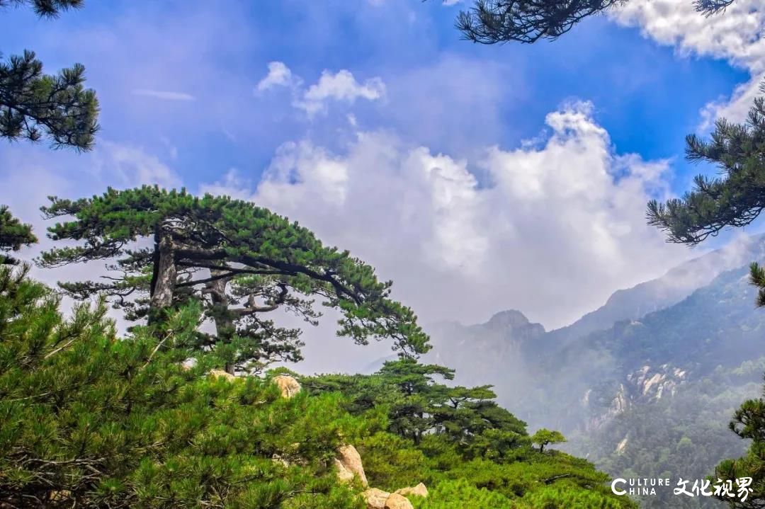 美过梵净山   藏身云海间——山东10处绝美的“天空之城”流光溢彩  魅影重重