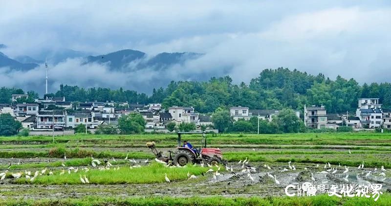 “中国梦·劳动美”第七届职工摄影展投稿作品选系列之一