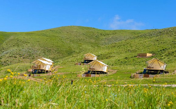 营地旅游正在发展成主流？你喜欢这种“Glamping”吗？