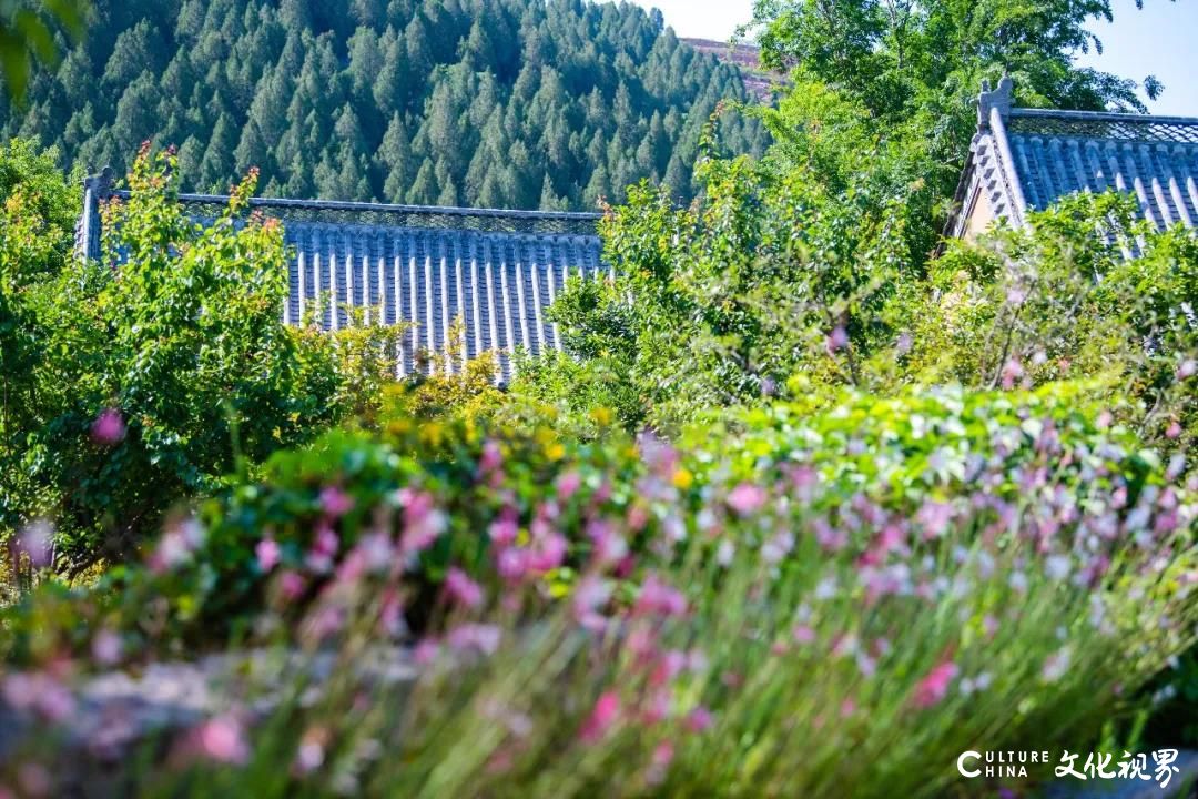 暑期特惠  限时好价——曲阜尼山书院酒店“景酒套餐”惊喜来袭