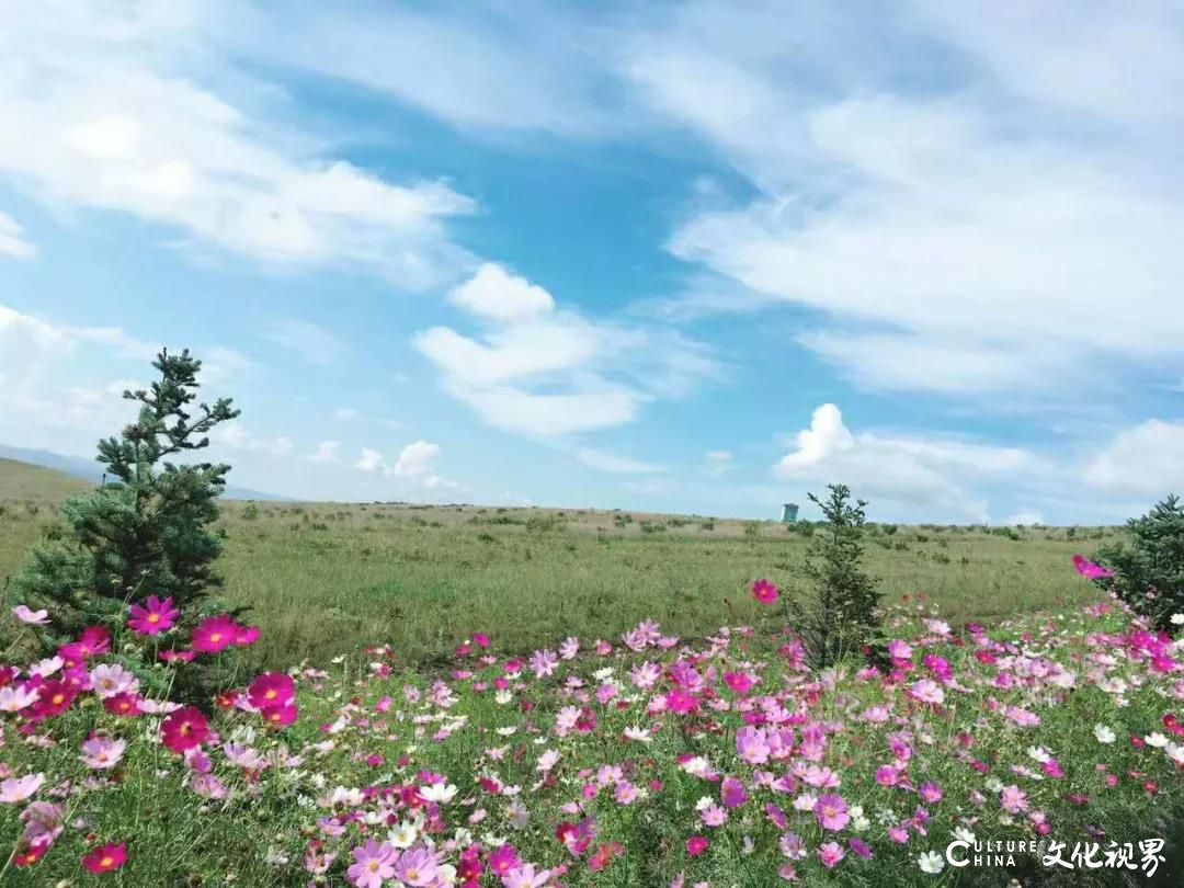 这才是呼伦贝尔大草原，嘉华旅游带你玩转中国最美的夏天