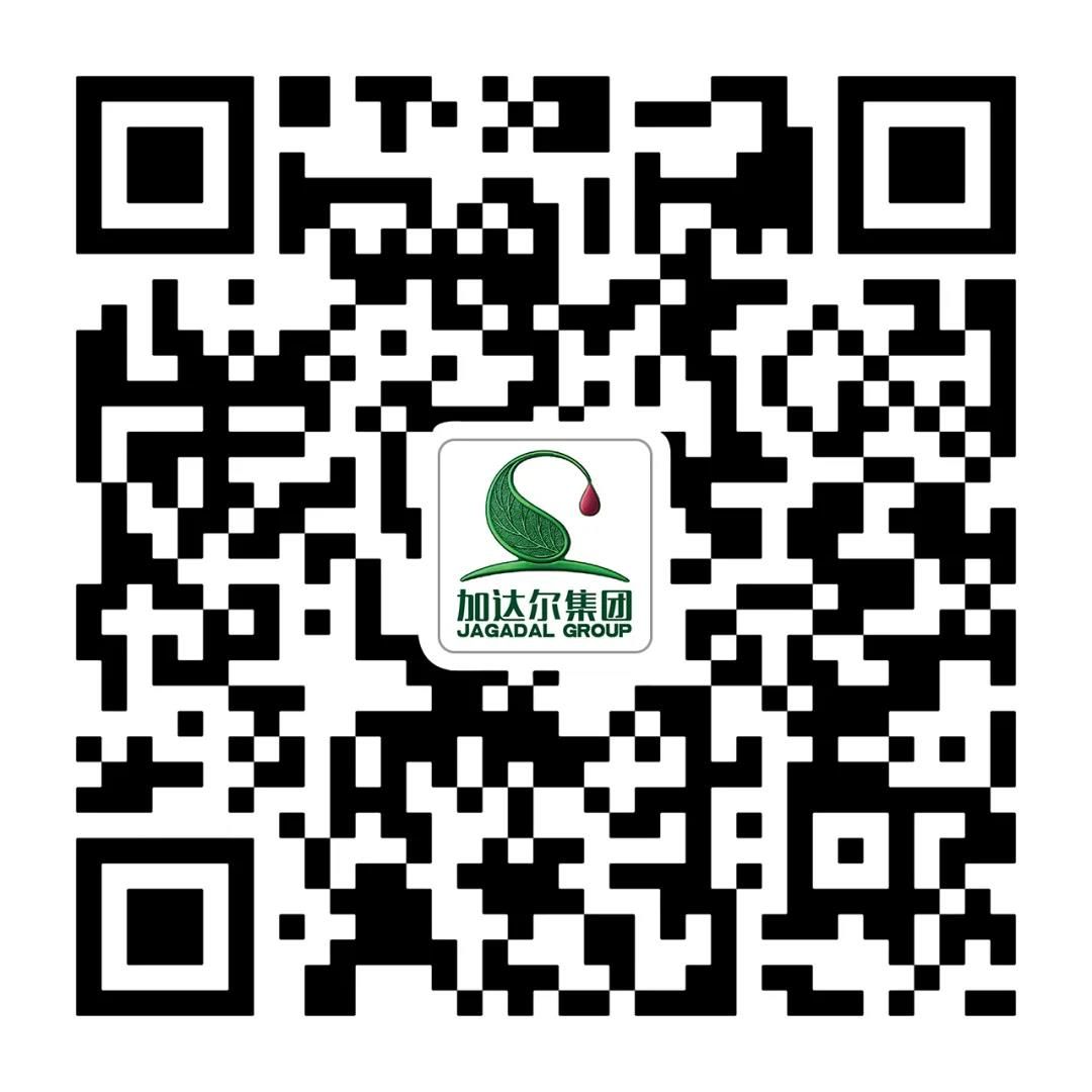 记忆深处一杯酒   埋藏在心是学友——加达尔致敬毕业季  青春不散场