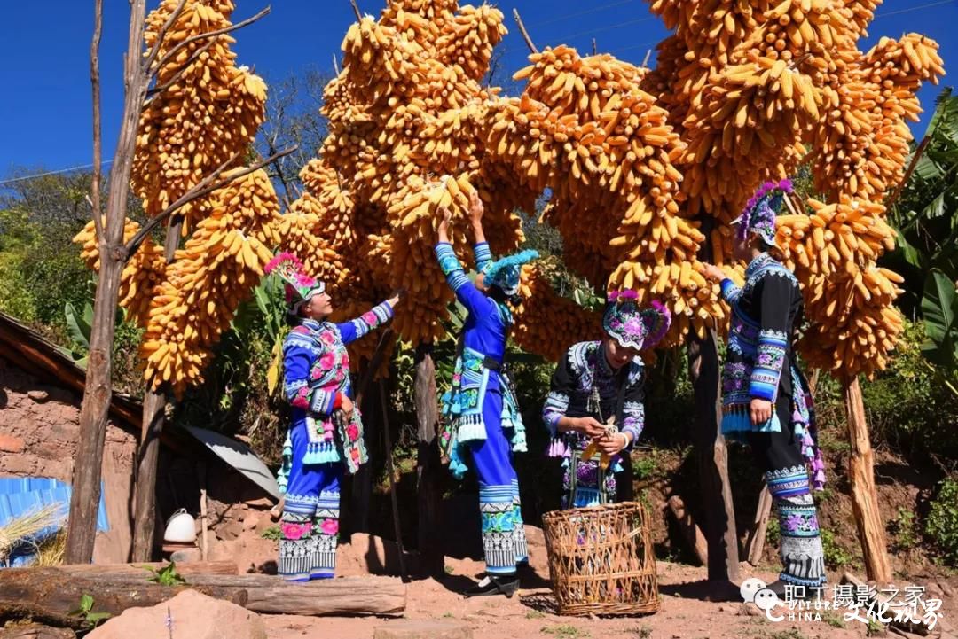 “中国梦·劳动美”第七届职工摄影展投稿作品选系列之二十一