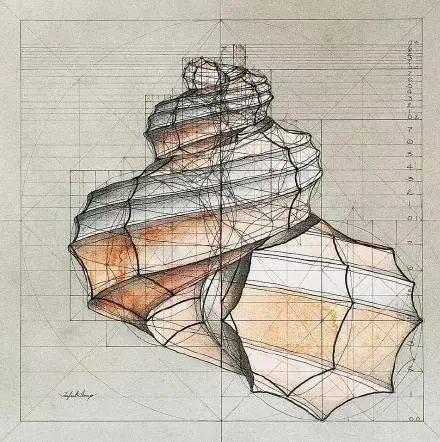 巧用数学思维，Rafael Araujo花40年时间作1000张画，张张都是美的巅峰