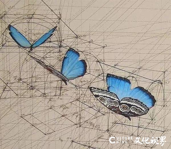 巧用数学思维，Rafael Araujo花40年时间作1000张画，张张都是美的巅峰