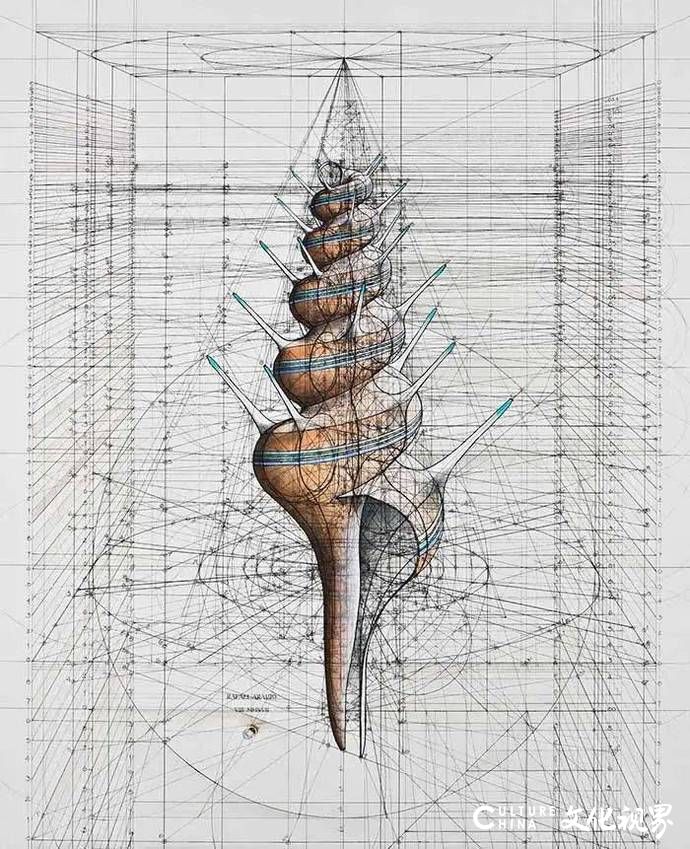 巧用数学思维，Rafael Araujo花40年时间作1000张画，张张都是美的巅峰