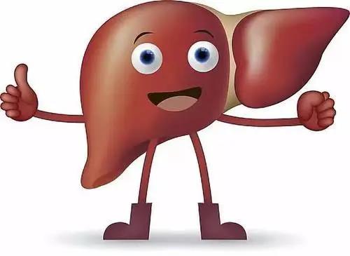 在第十个“世界肝炎日”之际，济南杏林中医院推出“一茶一汤一操”养肝疏肝大法