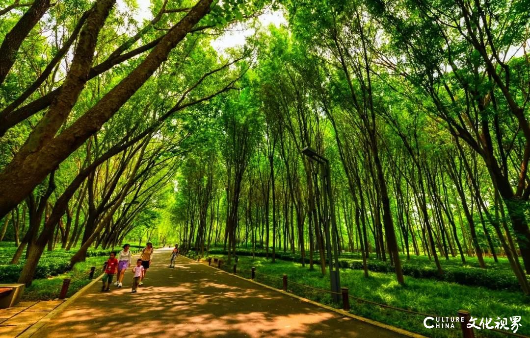 嘉华旅游|奔跑是一种人生姿态——济南七大跑步圣地陪你跑过这个夏天