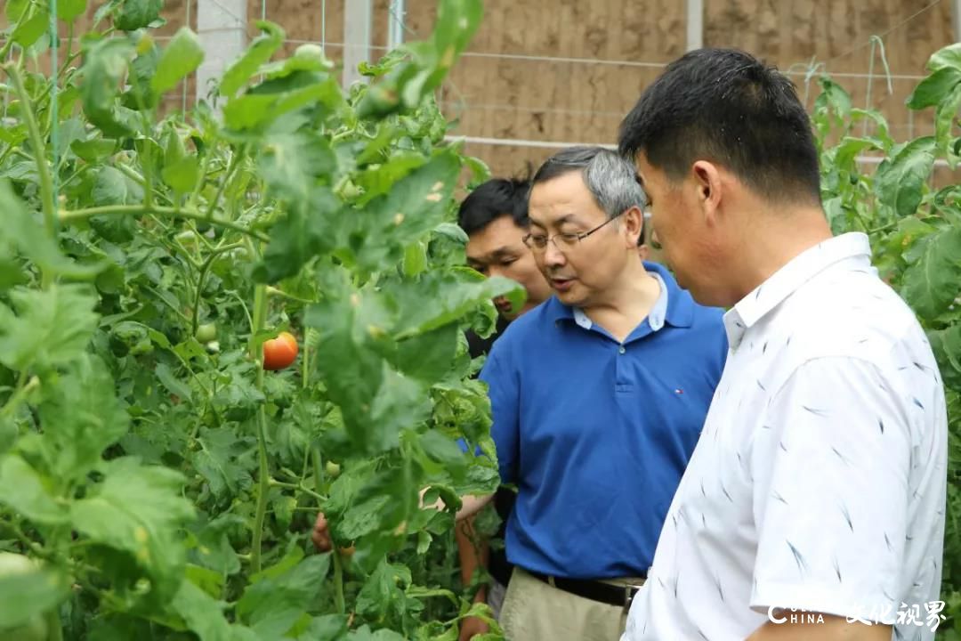 中国农科院农村经济发展研究所朱铁辉所长一行到潍坊高崖仙月酒庄考察，对其智慧农业技术表示肯定