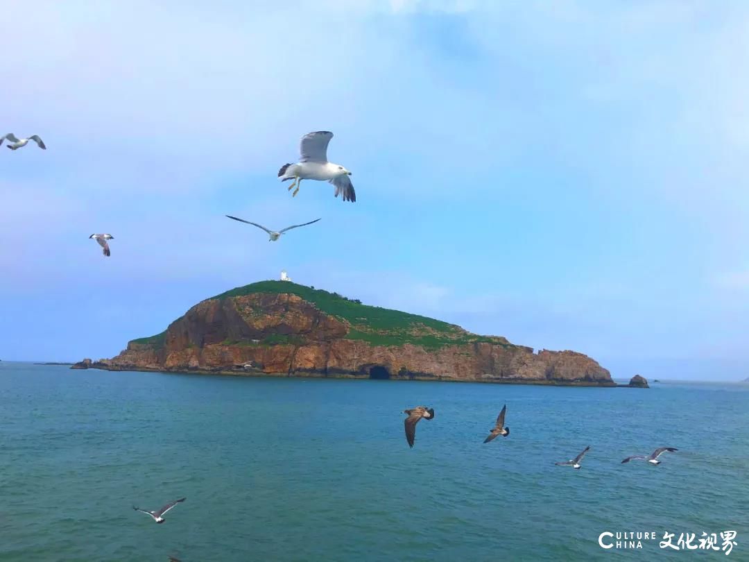 嘉华旅游 |跟“秋秋”上直播：周末自驾去威海   美食美景享个够