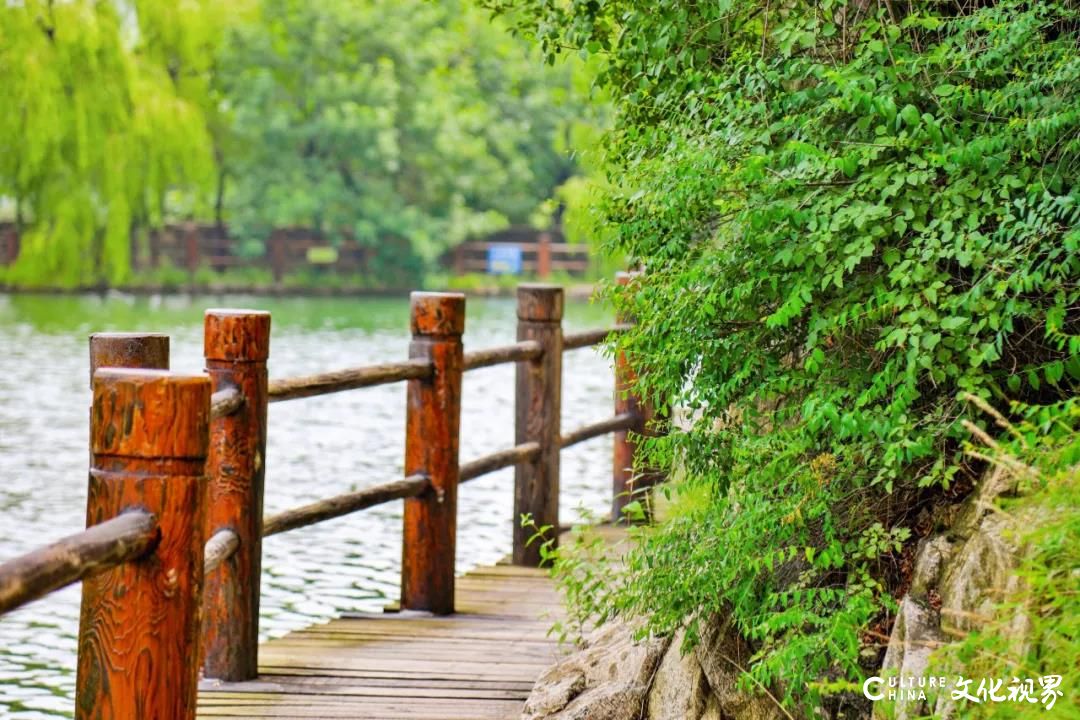 青山如洗 瀑布如练，夏秋之交的济南九如山景色美得不像话