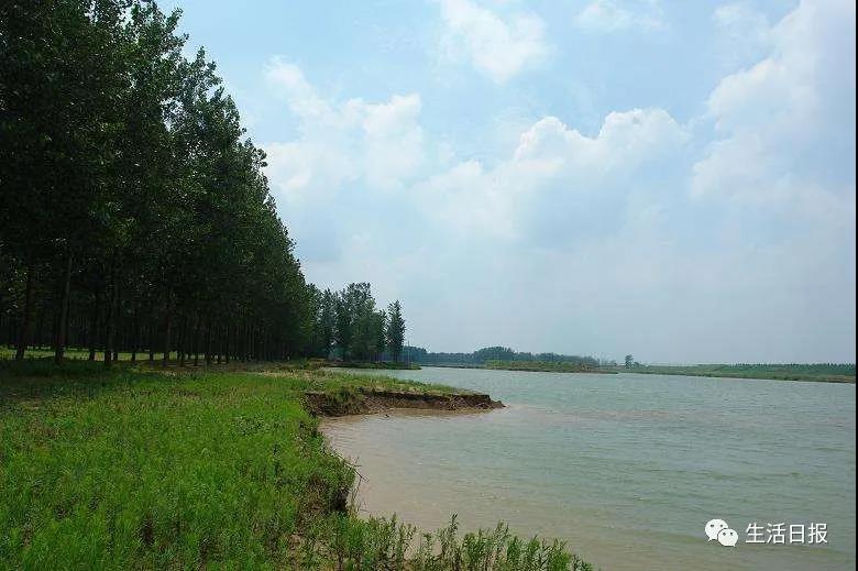 济南黄河森林公园关门改造三年不见动静！最新消息：10月1日前以森林形式初步开放