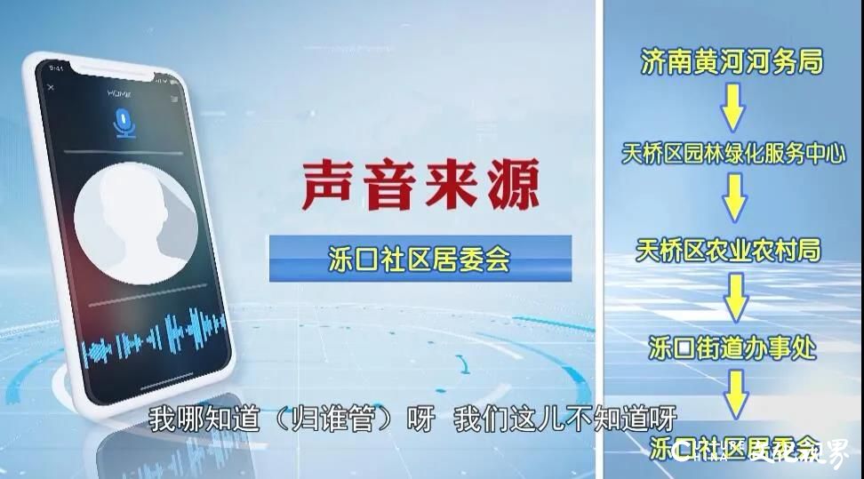 济南黄河森林公园关门改造三年不见动静！最新消息：10月1日前以森林形式初步开放